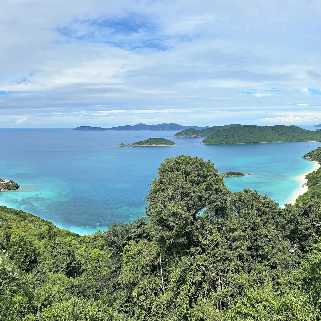 turquoise-bay-and-green-hillside-st-john